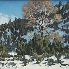 Winter in New Mexico | Recent Acquisitions